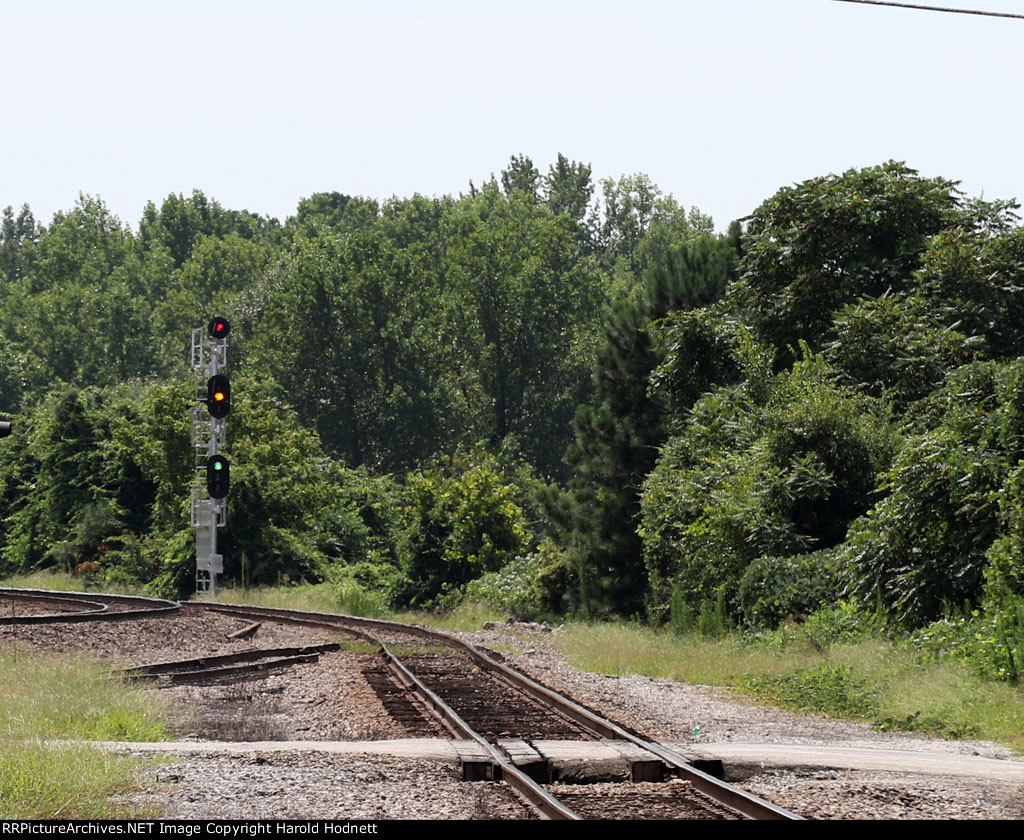 New CSX signal @ Bridges Street 