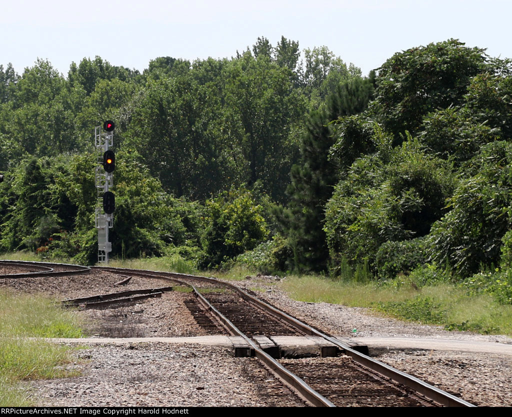 New CSX signal @ Bridges Street