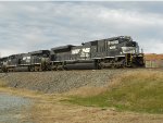 NS 1006