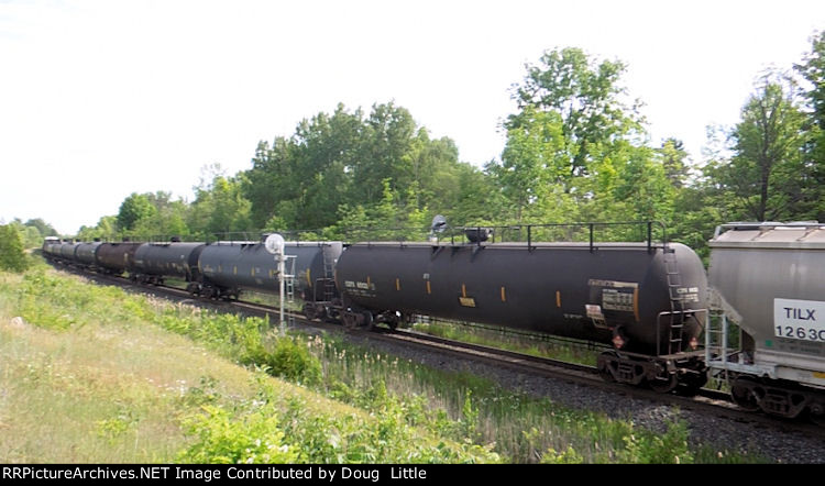 CGTX 65133