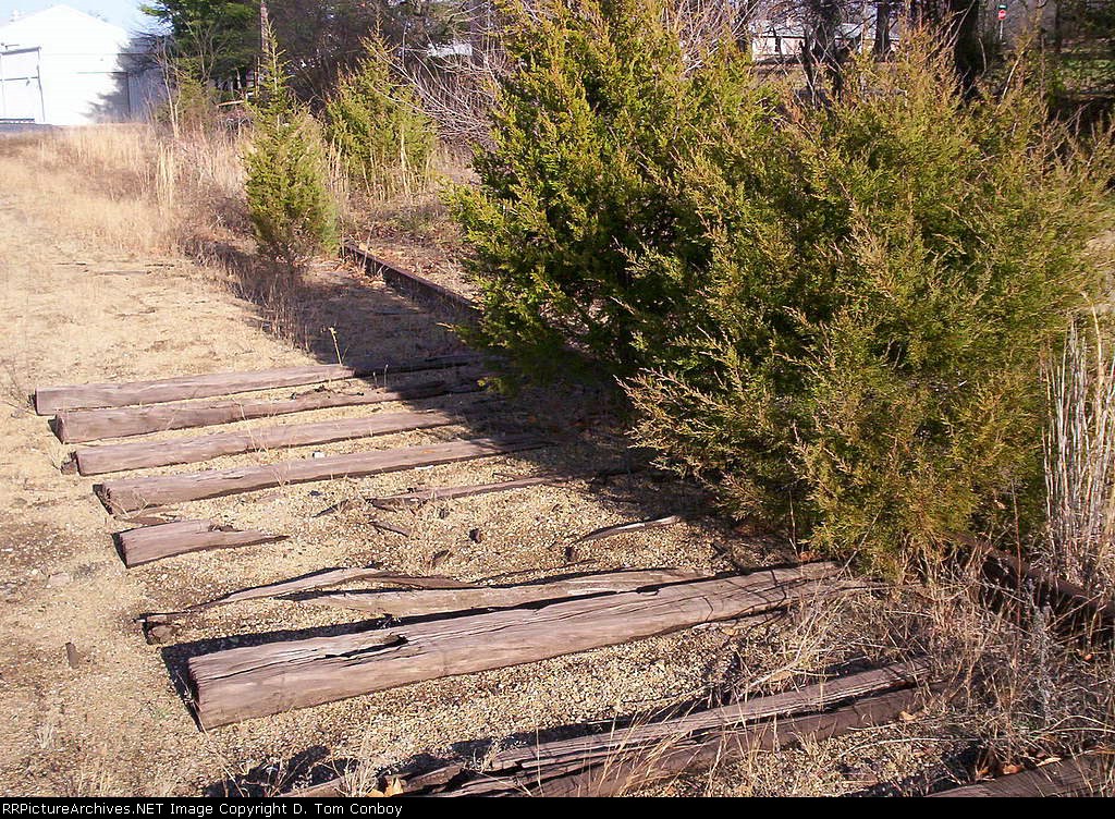 Close Up of Abandoned Siding