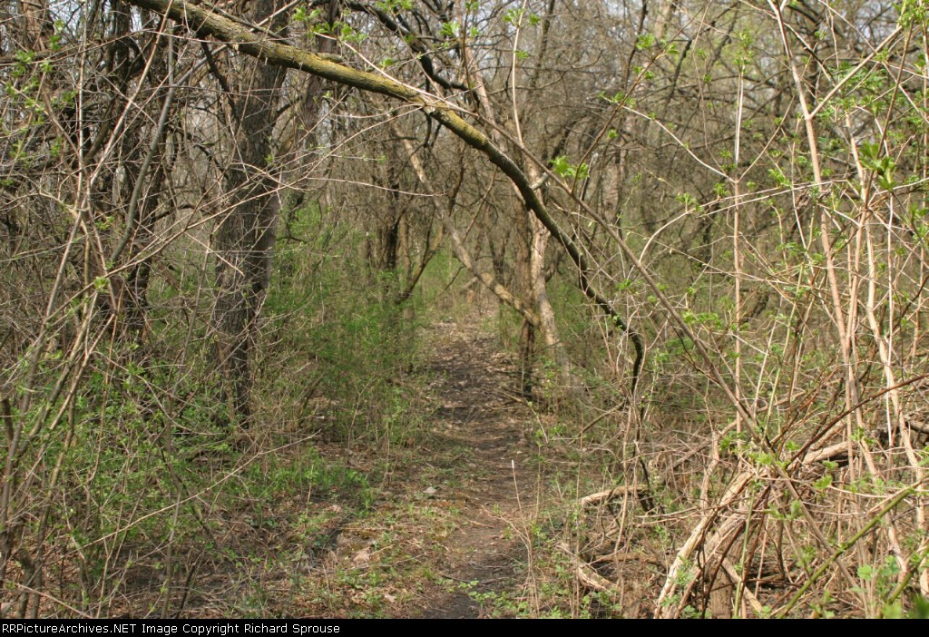 Abandoned Roadbed of the Palatine Lake Zurich & Walconda Railroad 