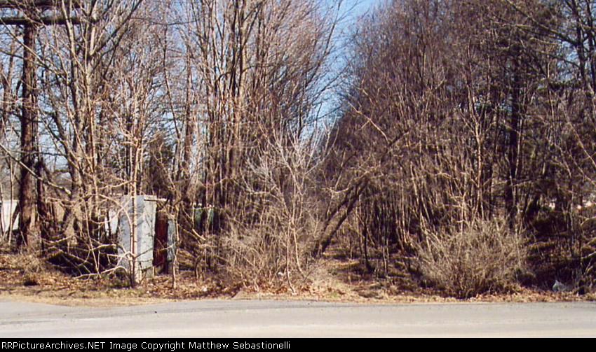 Trees on the former ROW