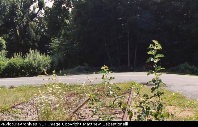 Station Aveneue crossing