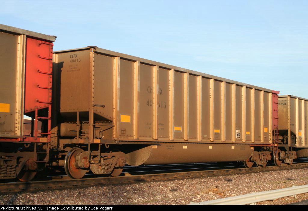 CEFX 40613