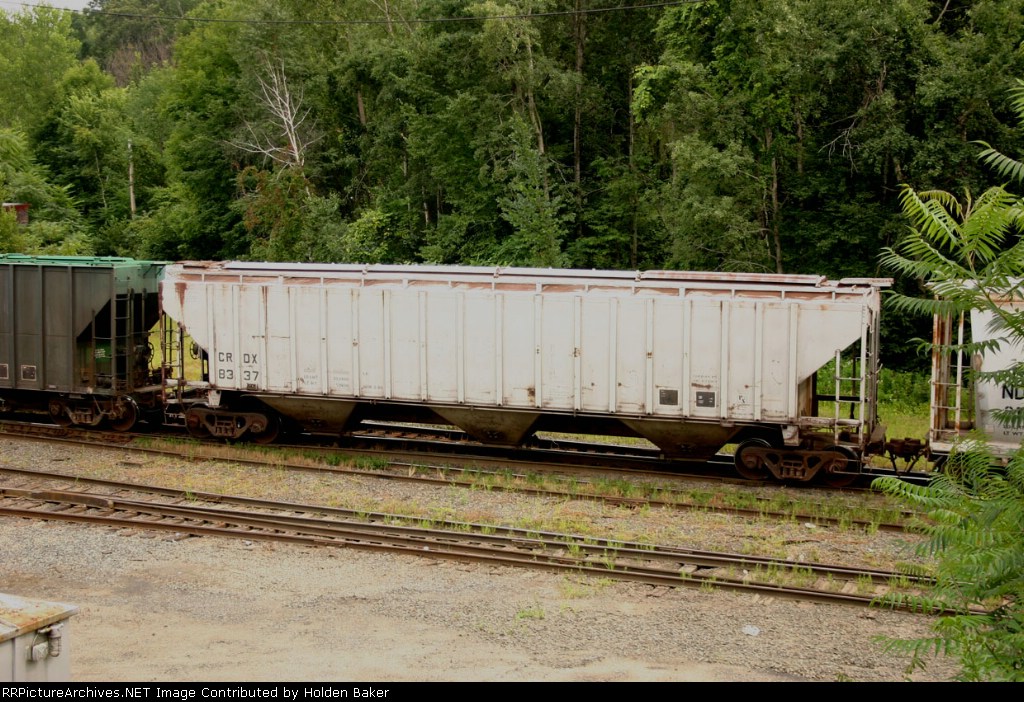 CRDX 8337