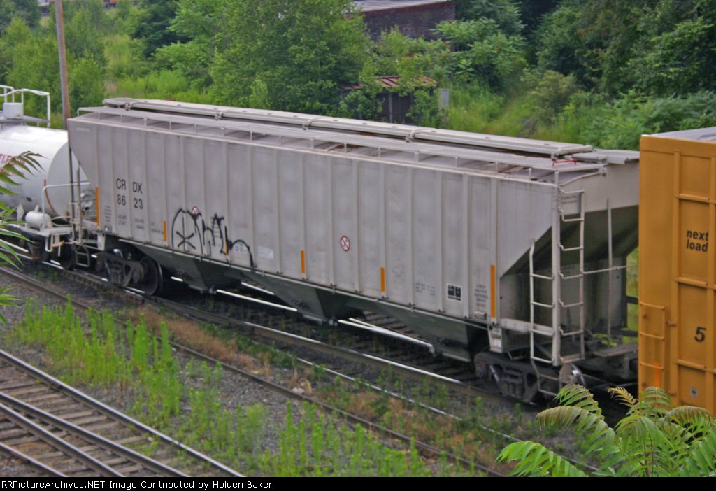 CRDX 8623