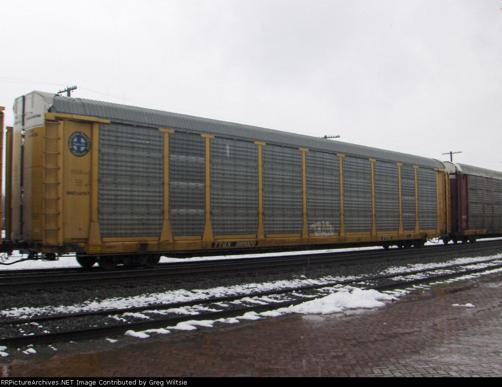 TTGX 989020