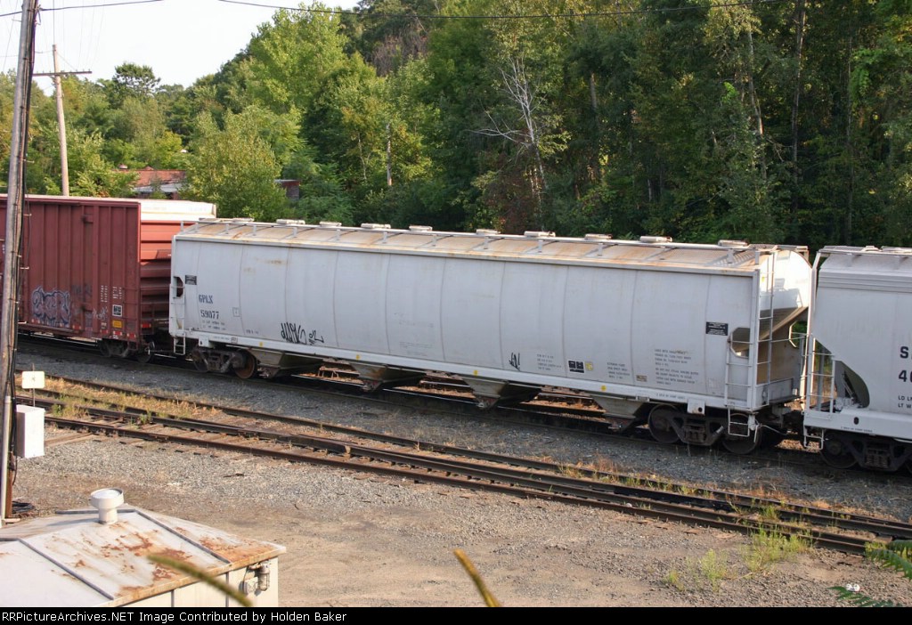 GPLX 59077