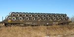 CP 419510