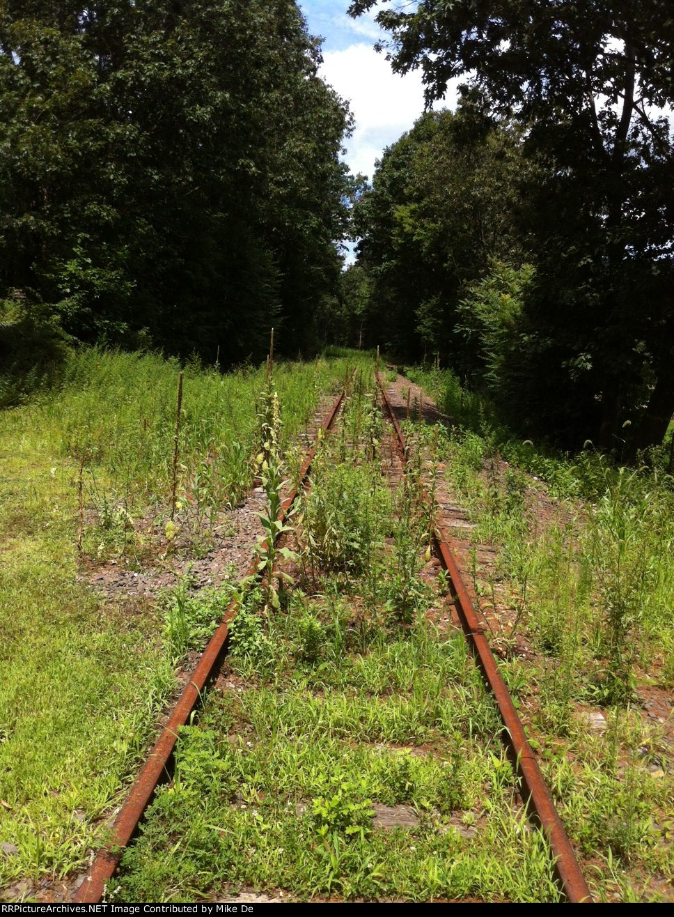 Shelton CT old Maybrook line