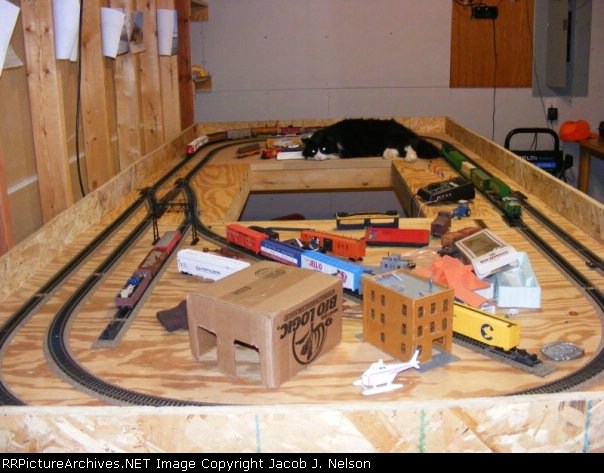 Me and my dad's model railroad, oh and the family cat :)