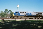 CSX 239