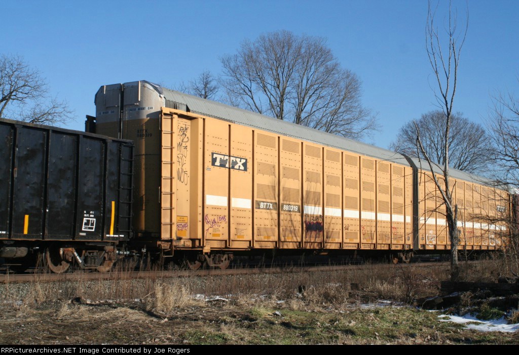 BTTX 880319