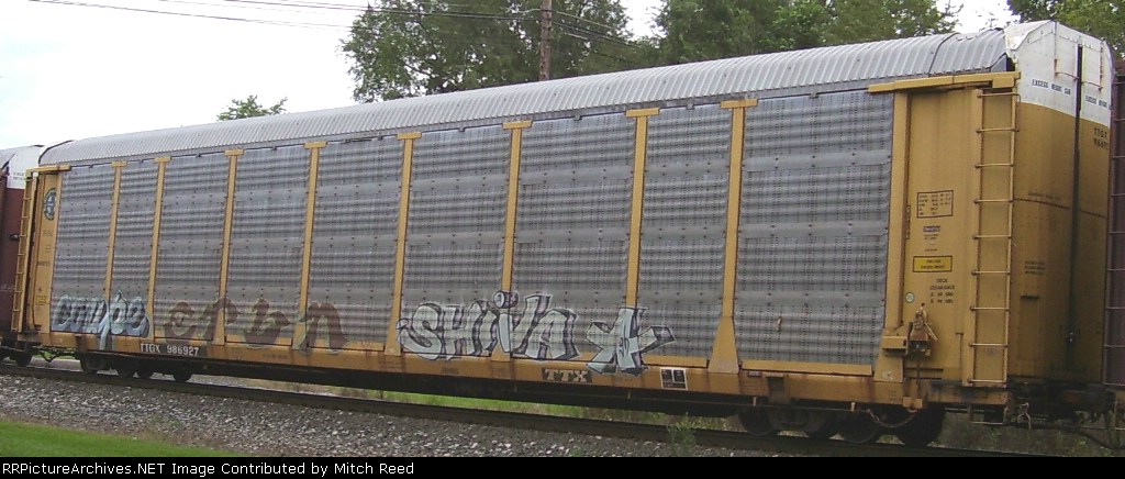TTGX 986927