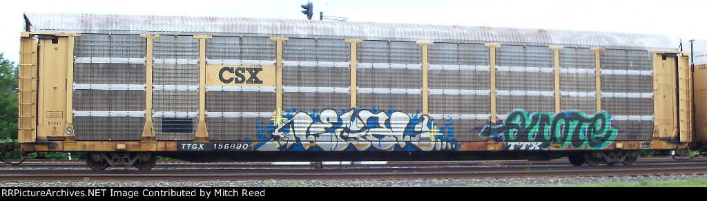 TTGX 156890