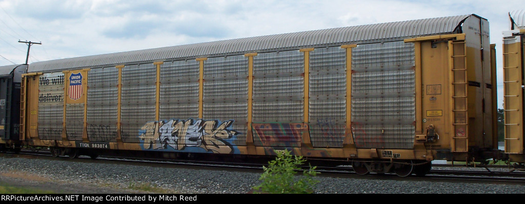 TTGX 983074