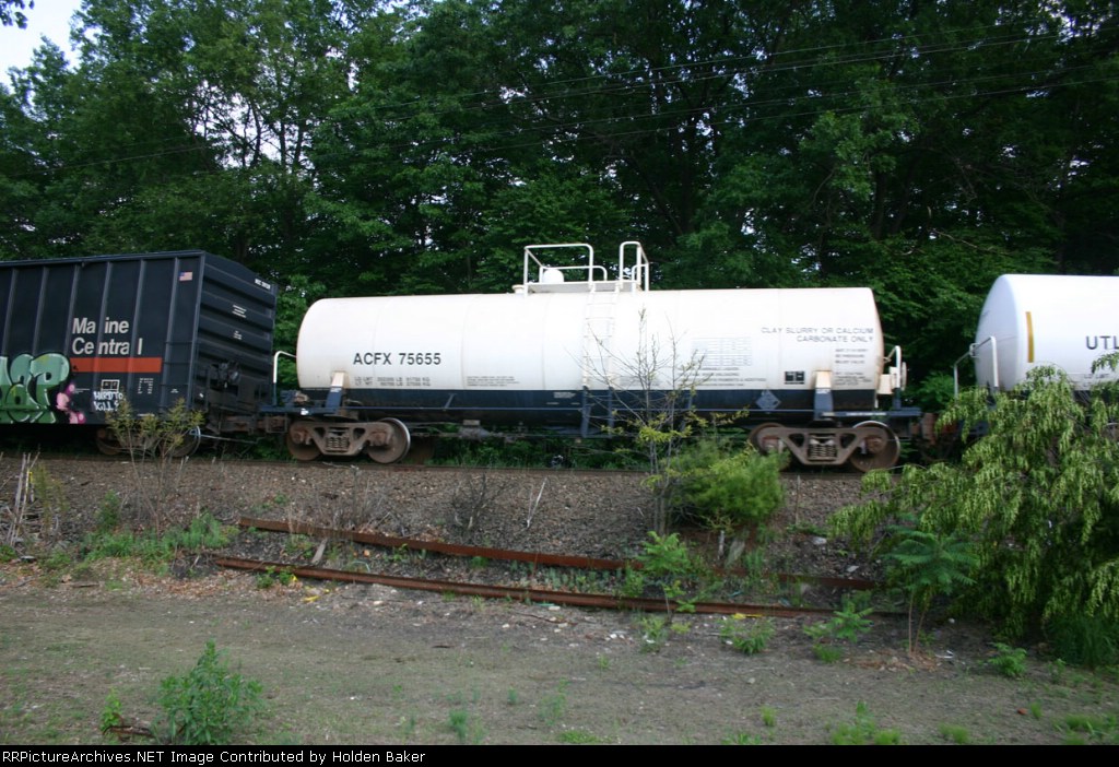 ACFX 75655