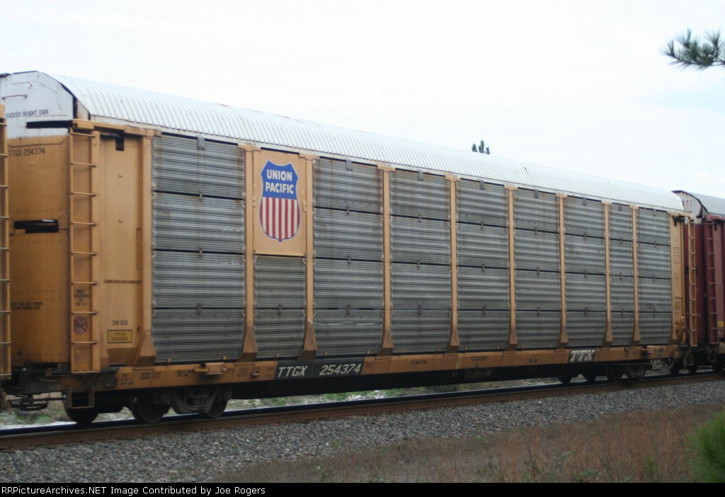 TTGX 254374