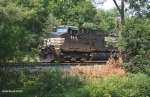 NS 24Z