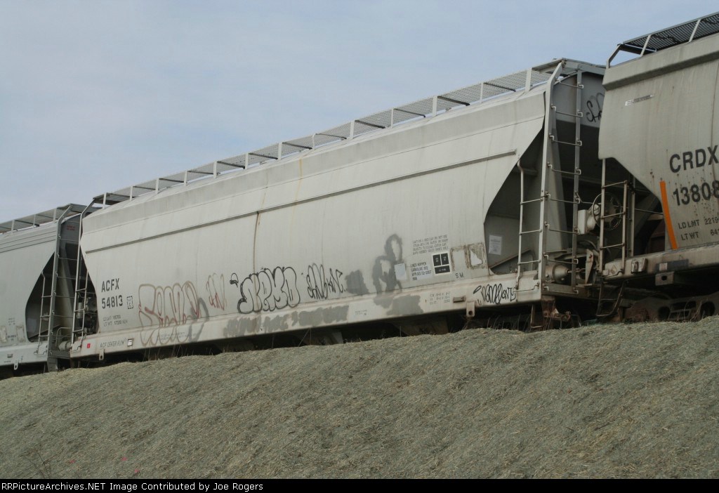 ACFX 54813