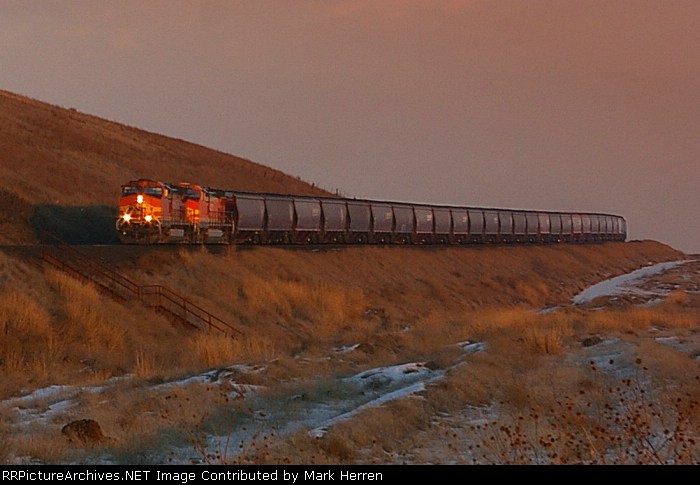 BNSF Grain Loads