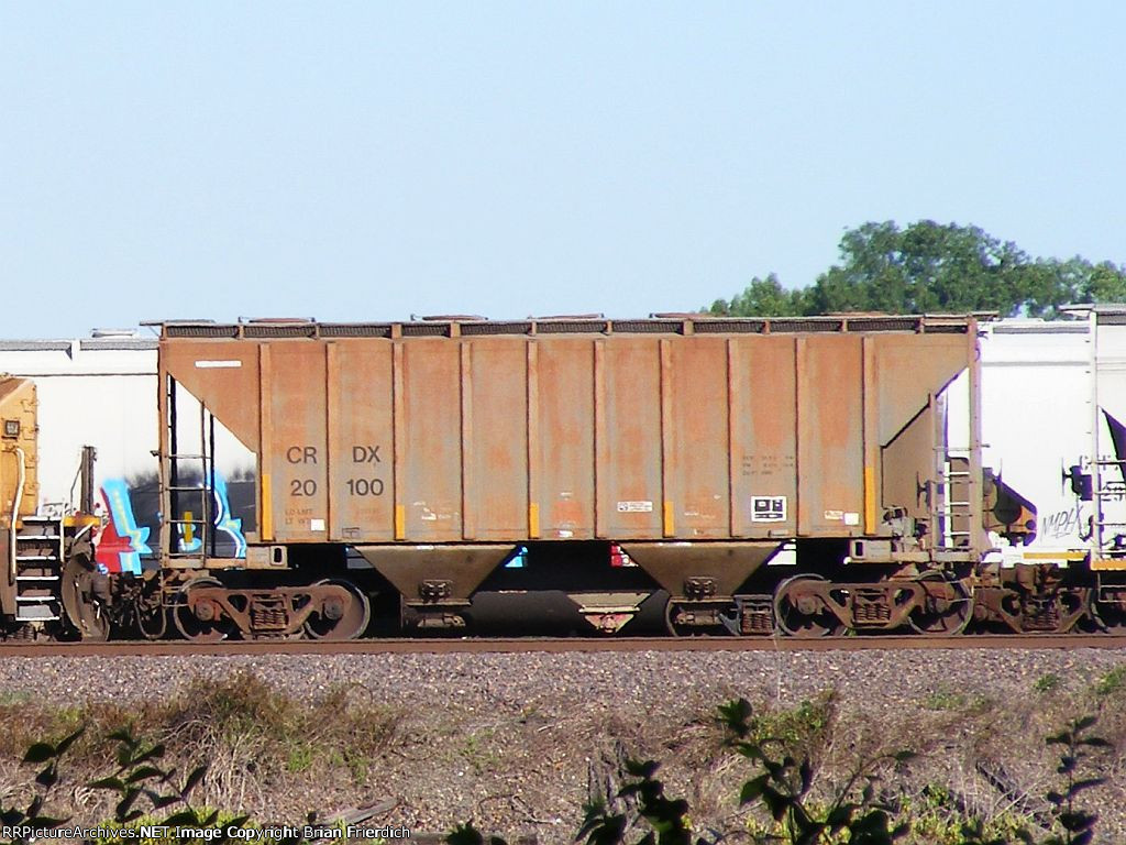 CRDX 20100