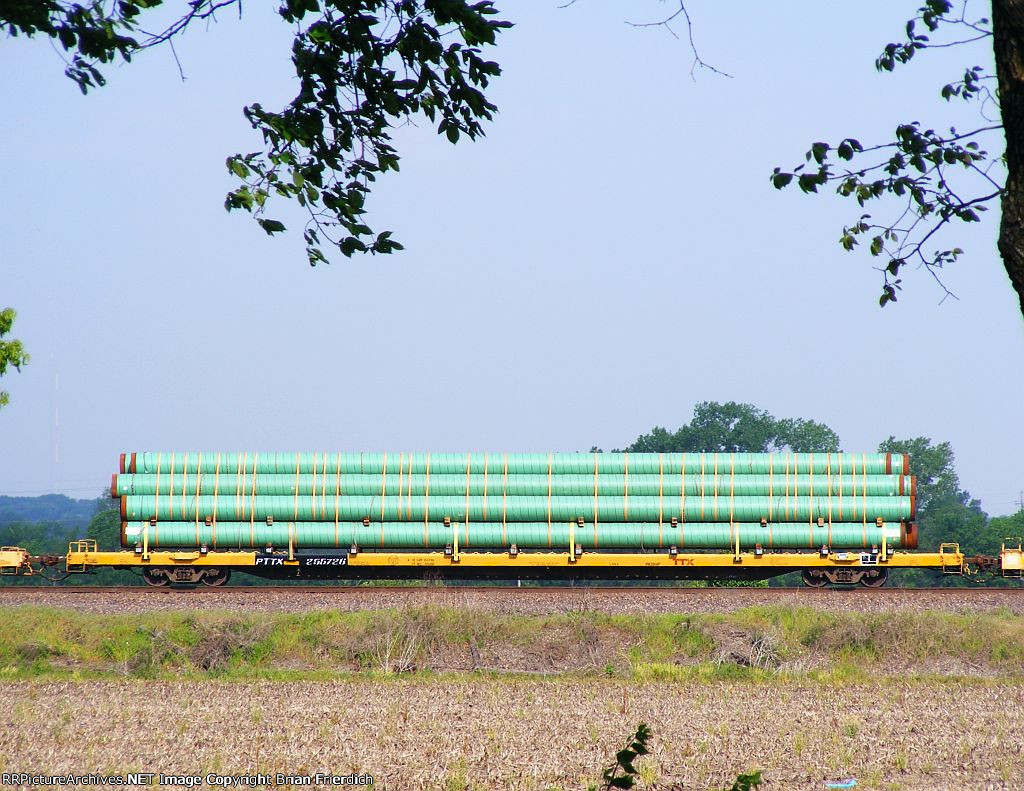 PTTX 255276