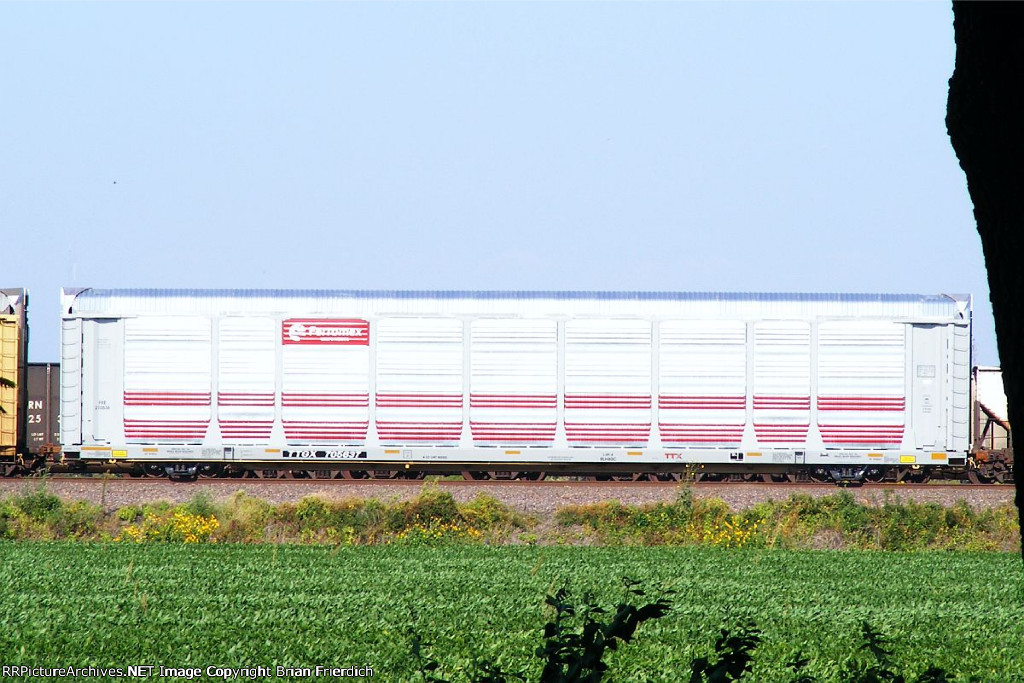TTGX 705637
