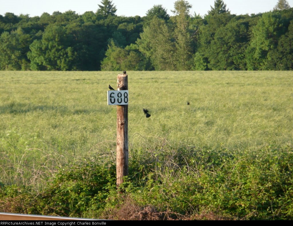 MP 688 has gone to the birds