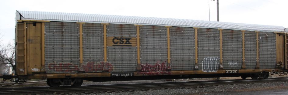 TTGX 603519