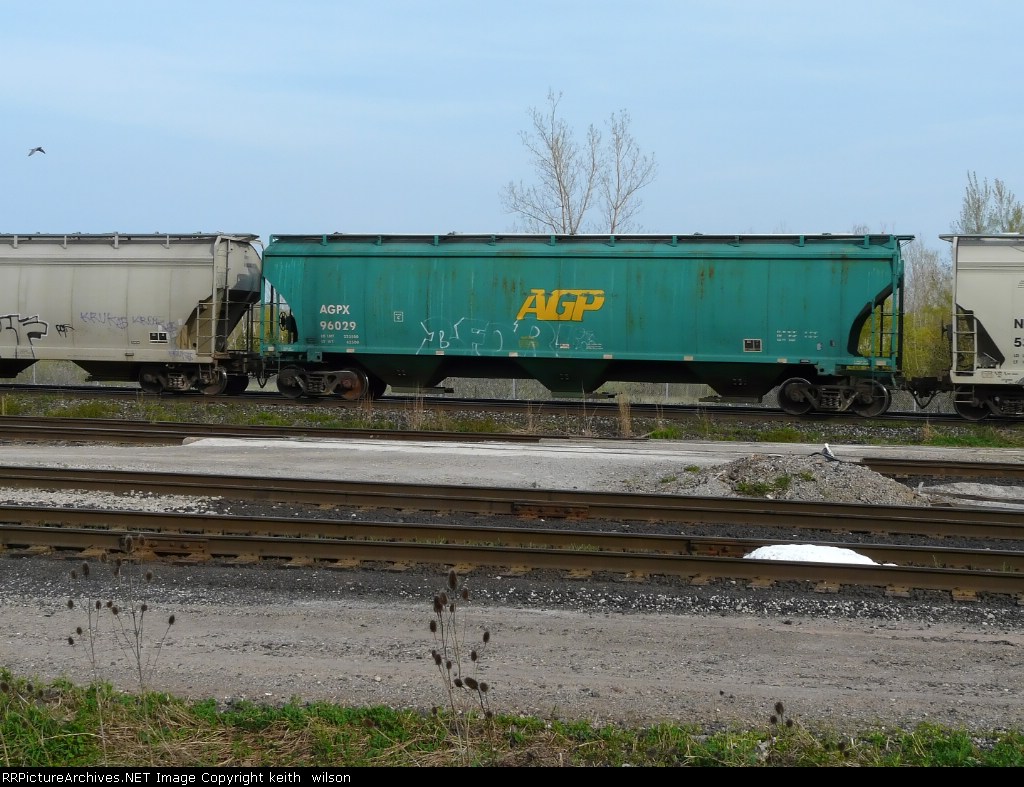 AGPX 96029