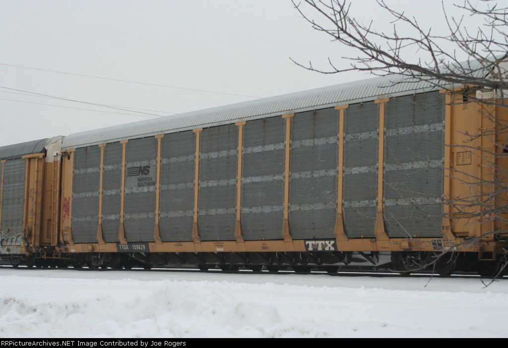 TTGX 158629