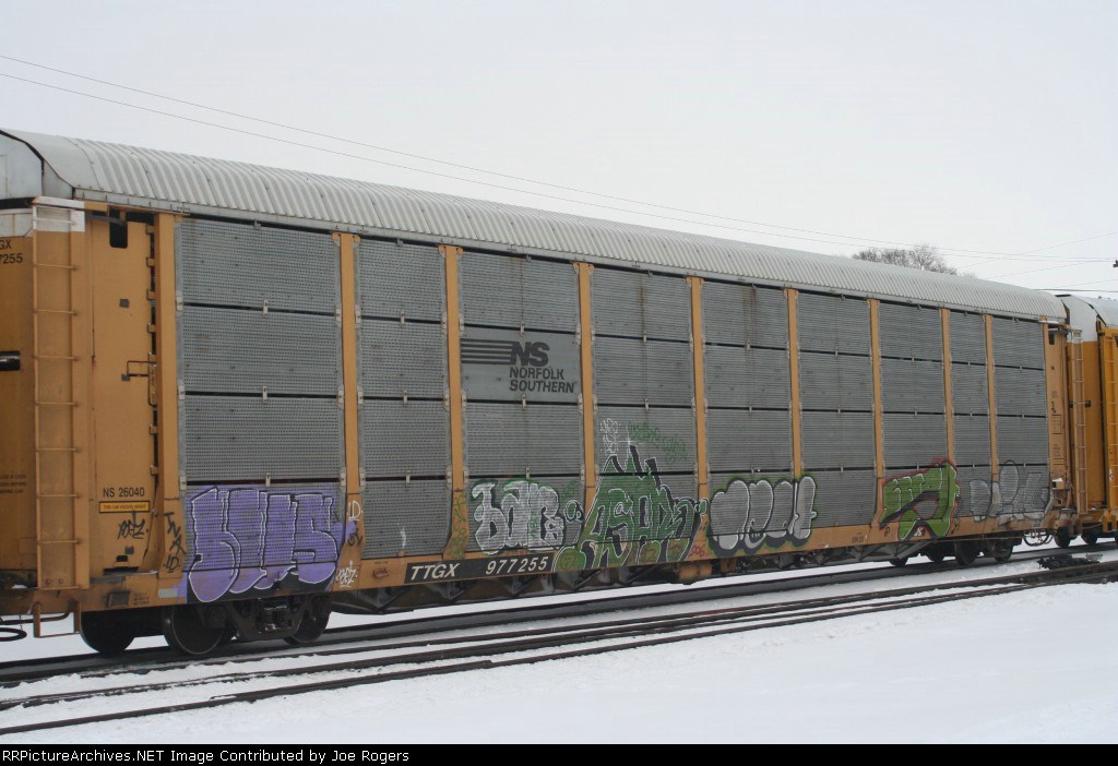TTGX 977255