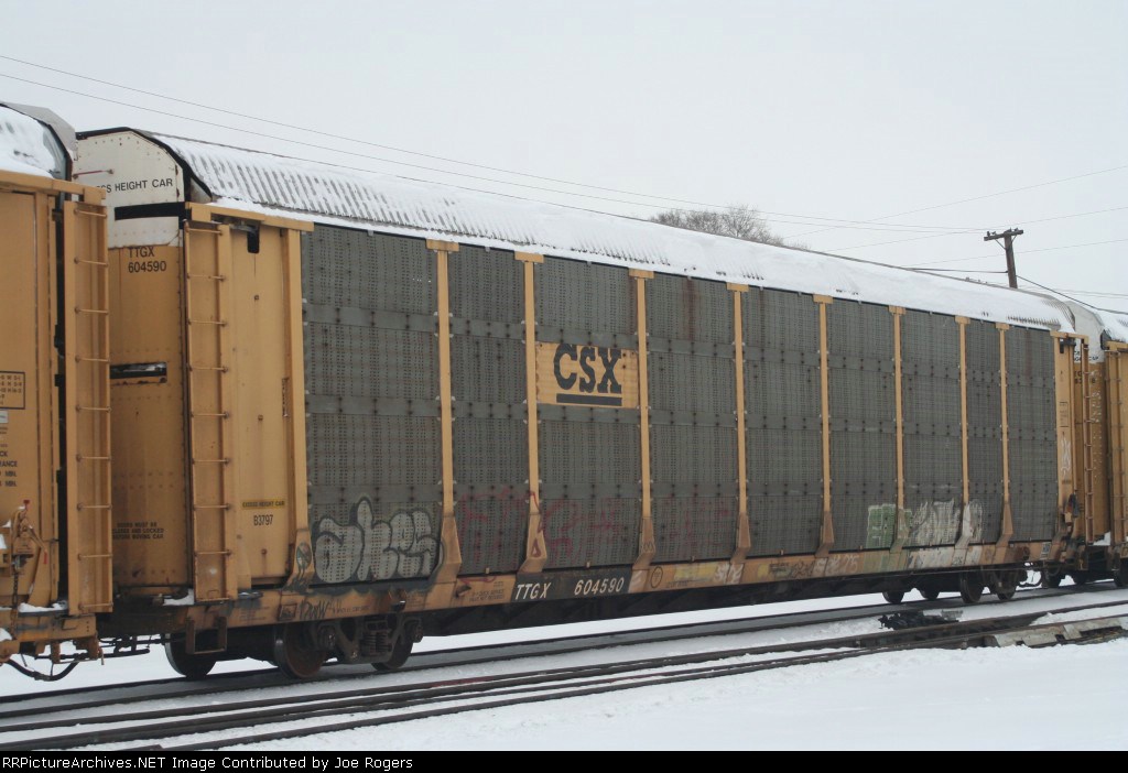 TTGX 604590