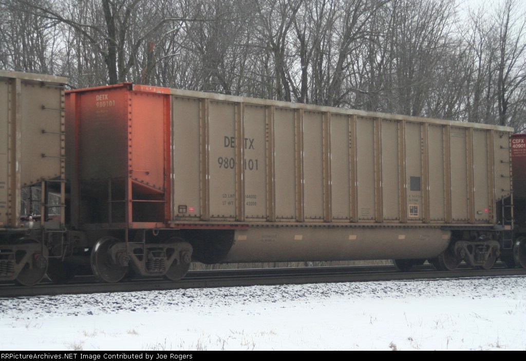DETX 980101