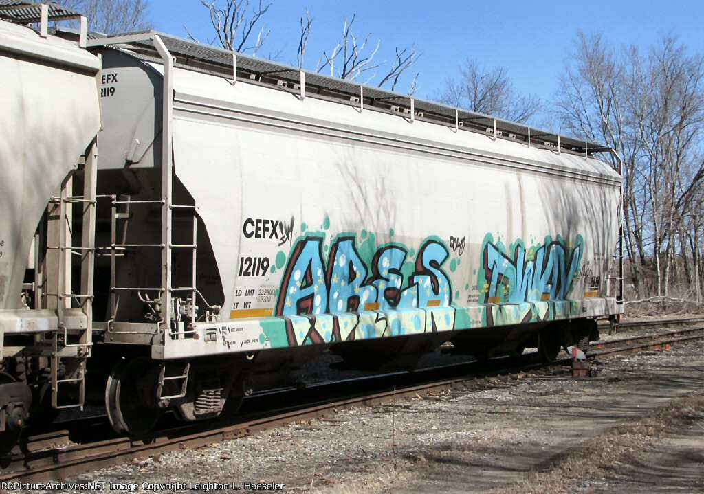 CEFX 12119