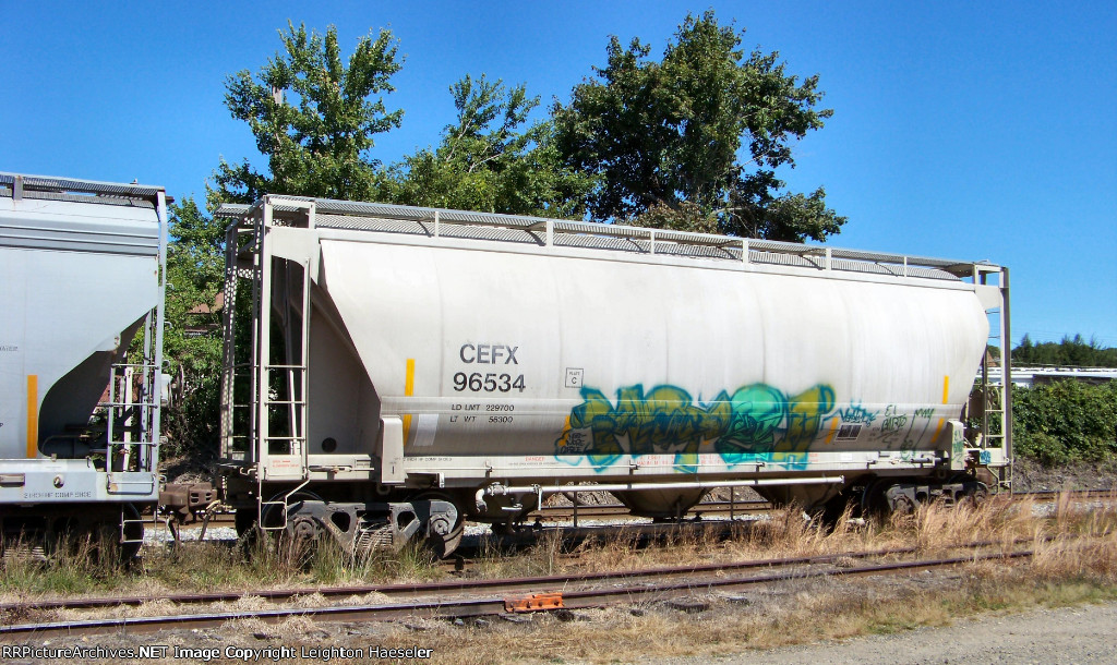 CEFX 96534
