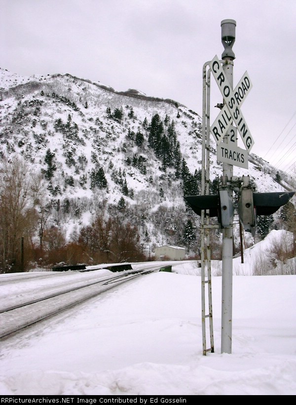 Cold Crossing