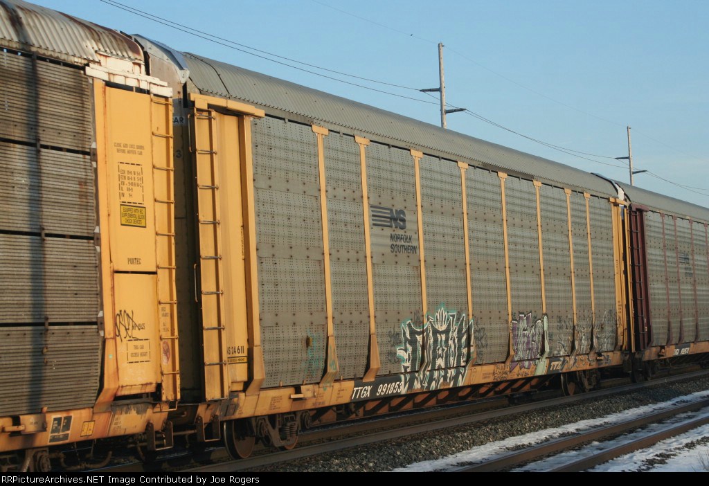 TTGX 991853