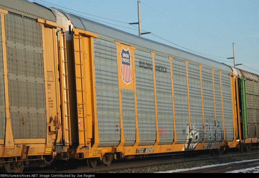 TTGX 852197