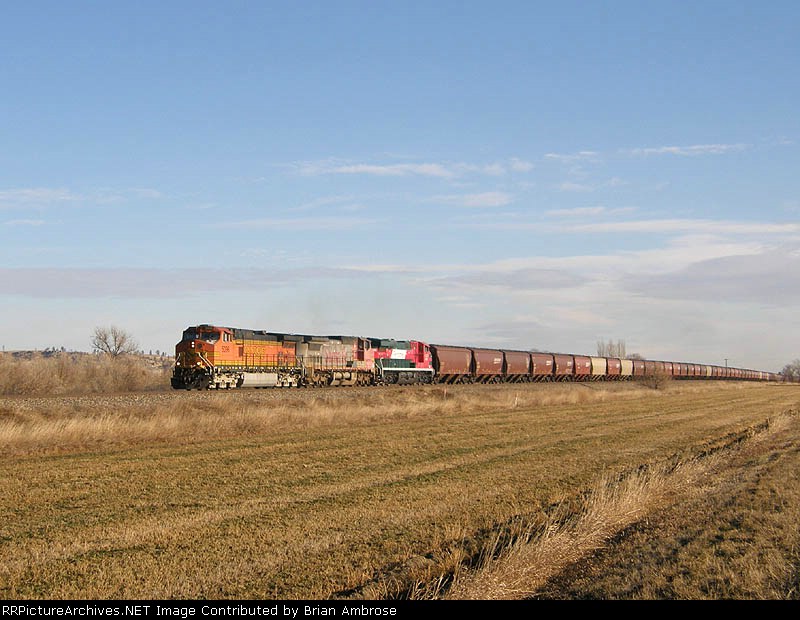 BNSF 5096 West