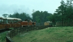 Busch Gardens Theme Park Train