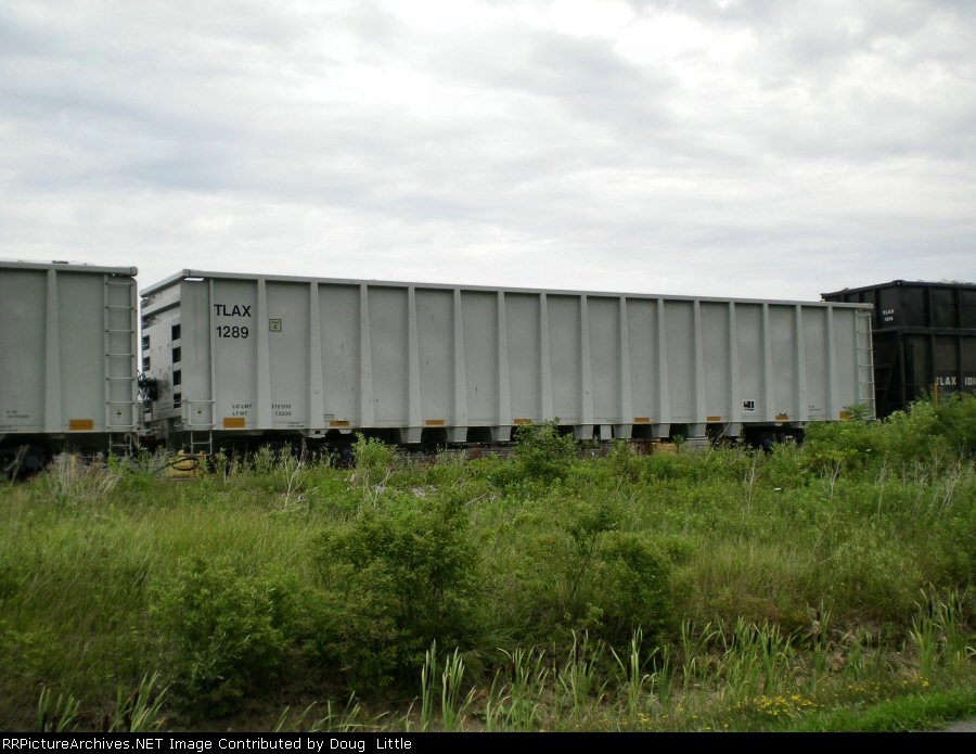 TLAX 1289