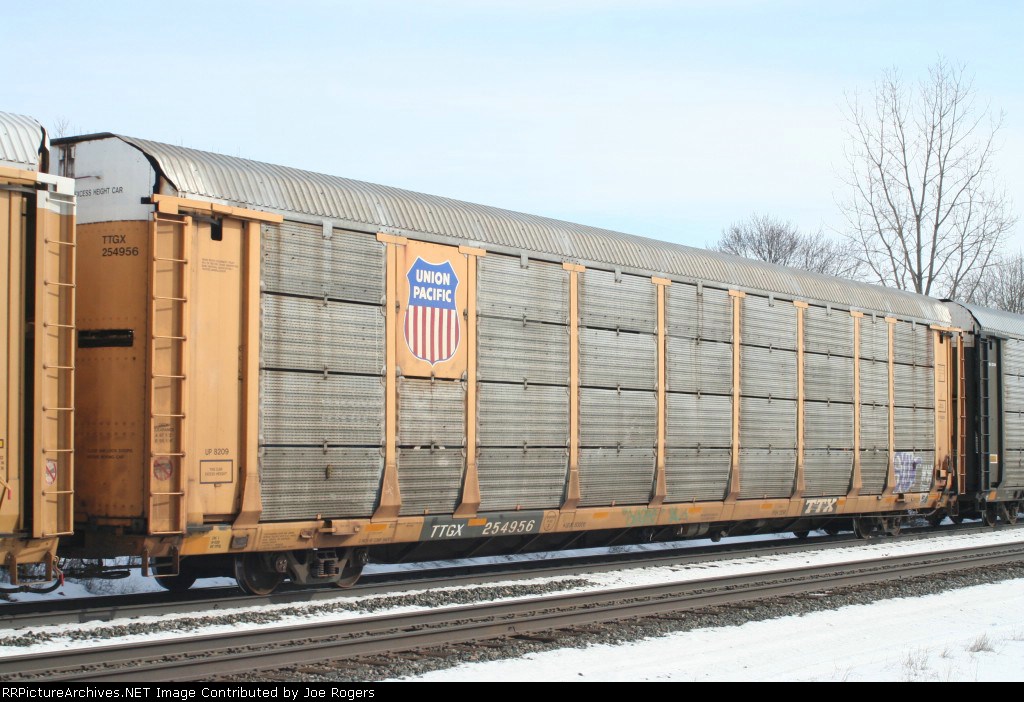 TTGX 254956