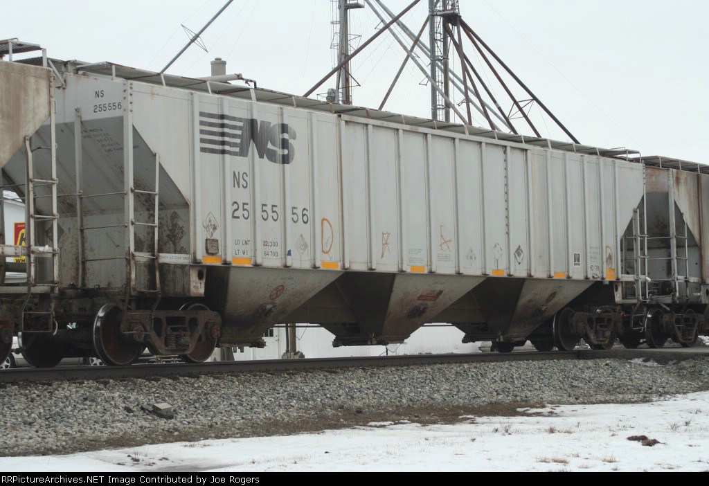 NS 255556