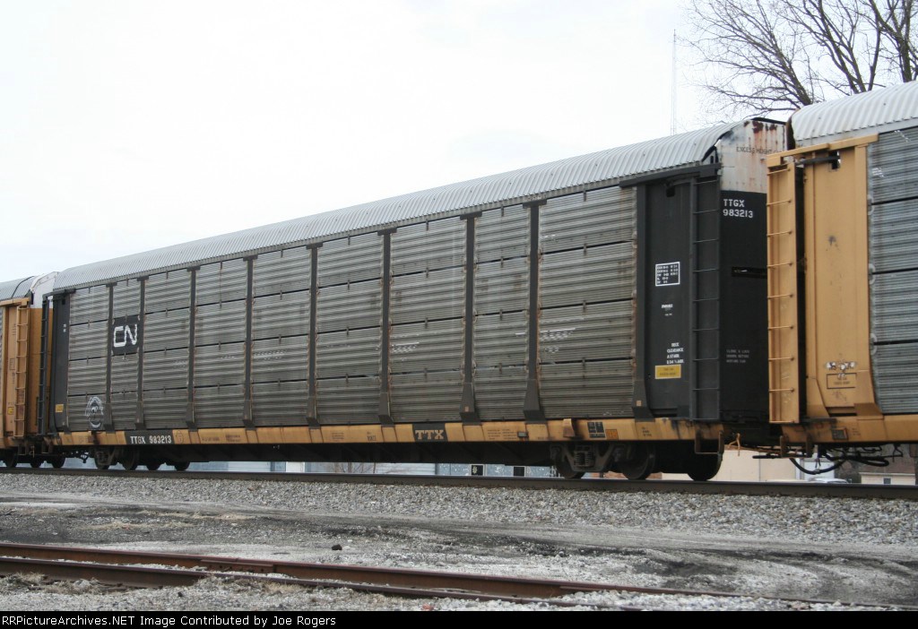 TTGX 983213