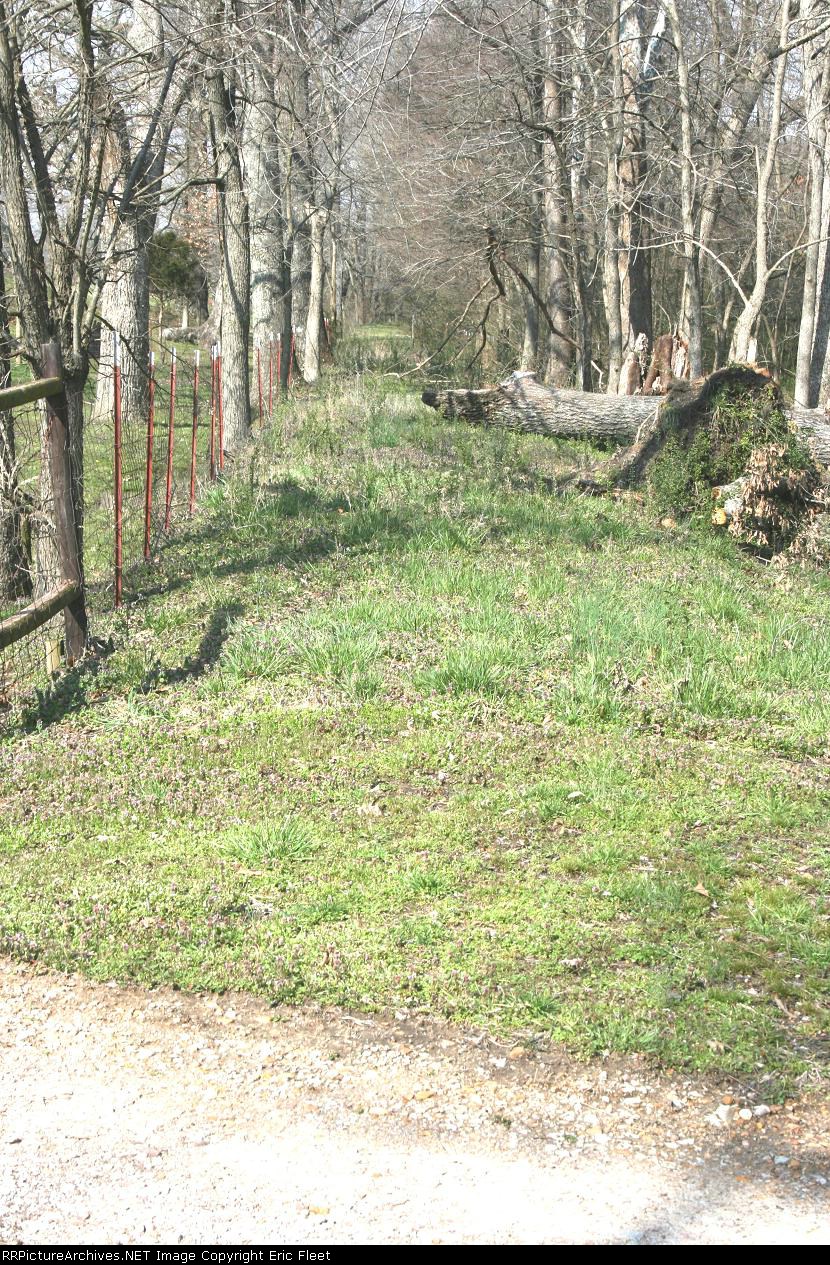 Old M&C Railroad bed