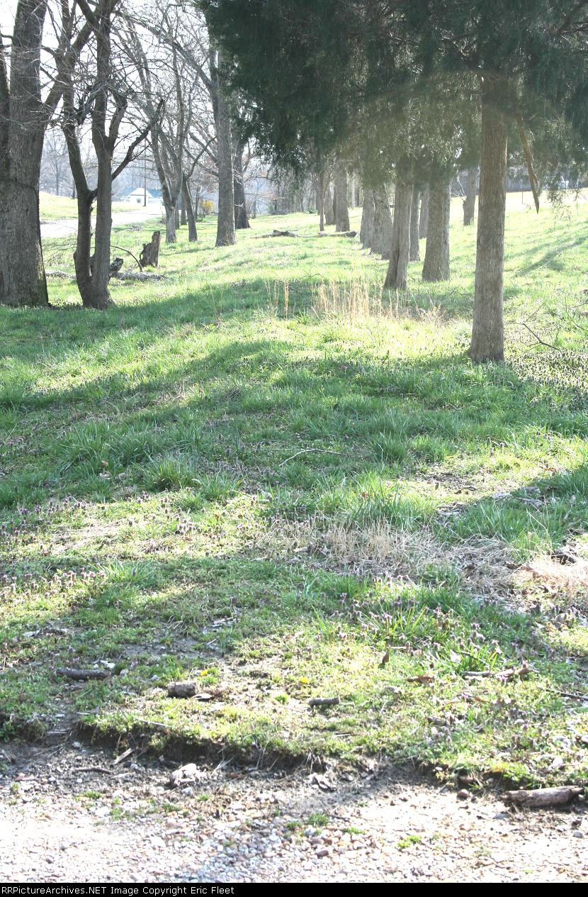 Old M&C Railroad bed