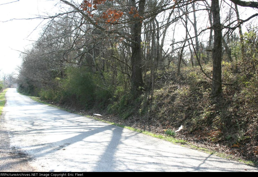 Old M&C Railroad bed